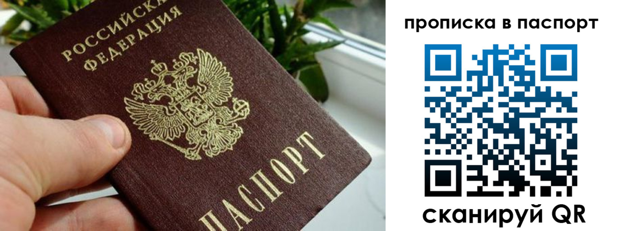 пропишу в квартире в Солнечногорске